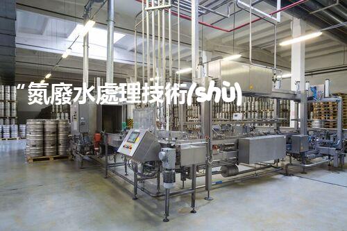 “氮廢水處理技術(shù)革新，綠色環(huán)保新篇章”